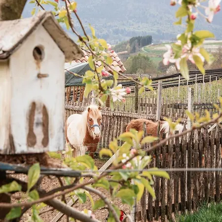Farm stay Maso Caliari *